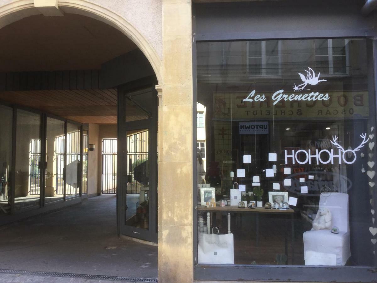 Les Grenettes2 Metz Exterior photo